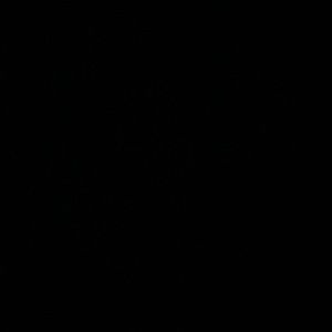 Meet your Posher, Yenileisy